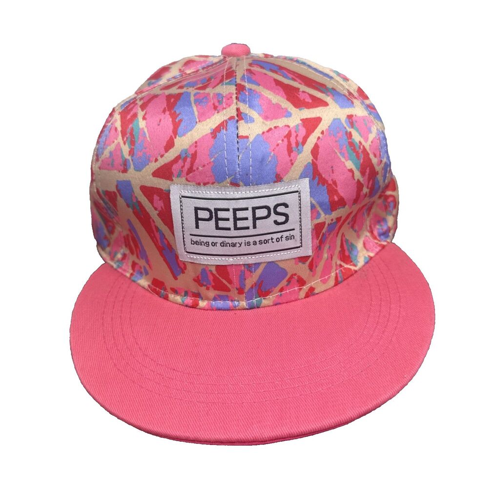 Peeps Being Ordinary Is A Sort Of Sin Snapback Hat Cap Paint Splatter Pink Blue